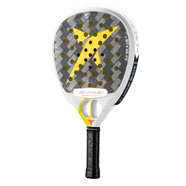 PALA EXPLORER PRO ATTACK 1.0